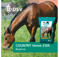 Pferdeweide | COUNTRY Horse 2120