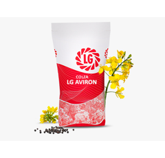 Colza hybride - LG Aviron