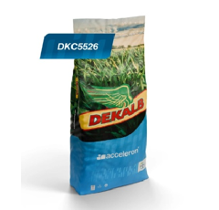 Maíz grano - DKC5526