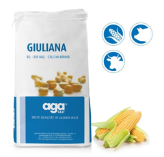 Saatmais - Giuliana (S220 K230) AGASAAT