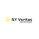 Colza oleaginosa híbrida - SY Veritas CL