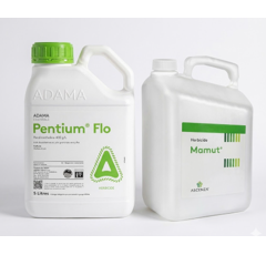 Pack 20 à 25 ha PENTIUM FLO (5 x 10L) + MAMUT (4 x 1L)