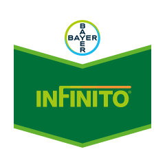 Infinito I Systemisches-Fungizid