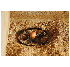 Piège à oeuf Ø 25 cm - BOXTRAP