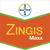 ZINGIS MAXX