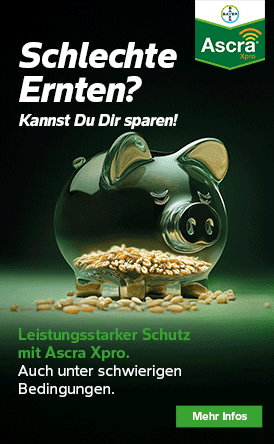 BAYER_ASCRA_XPRO_PHYTOPAGES_032025