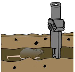 Lot de 6 pièges à campagnol supercat - SWISSINNO