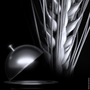 KWS Delis - Wintergerste