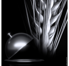 KWS Delis - Wintergerste