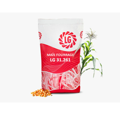 Maïs mixte 260 - LG 31.261