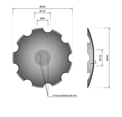 Disque crénelé ∅460x6 pour déchaumeur HORSCH 23246106 adaptable