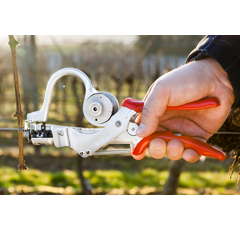 Beli Rebenbindegerät - normaler Griff