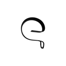 Renfort double spire 80 x 10 mm adaptable