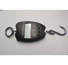 Digitale Hängewaage 200 Kg Einteilung 100g