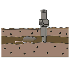 Piège à Campagnol  Supercat - Lot de 12 | SWISSINNO
