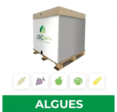 Macération d'algues