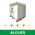 Macération d'algues