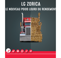 Orge d'hiver fourragère - LG Zorica