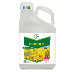 Propulse I Systemisches-Fungizid