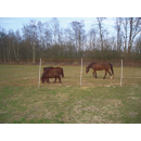 Euro-Netz Mustang 145/2 50m mit engen Maschen