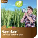 Triticale - Ramdam - BIO