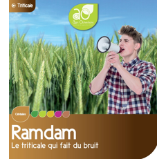 Triticale - Ramdam - BIO