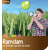 Triticale - Ramdam - BIO