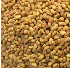 Luzerne flamande inoculée - Triade