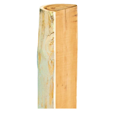 Piquet en acacia-robinier coupé en deux Ø 13 - 15 cm - PATURA