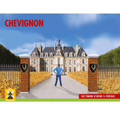 Blé tendre d'hiver - Chevignon - BIO