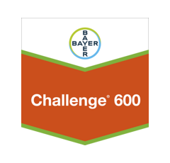 CHALLENGE 600