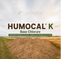 HUMOCAL ® K | enrichi en K2O