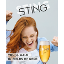 Orge de printemps brassicole - Sting
