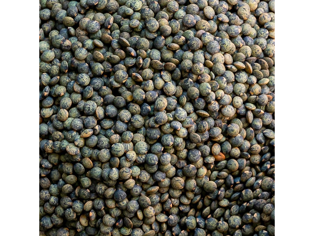 Lenteja verde - Anicia - BIO - R1