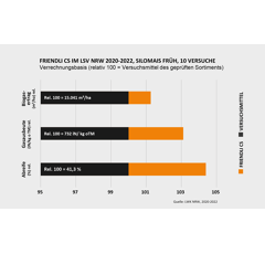 Saatmais - Friendli CS (S210 K210) LIDEA