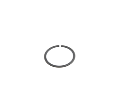 Sprengring 12  - Walterscheid