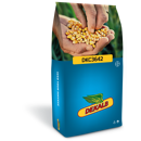 Saatmais - DKC3642 (S260 K260) DEKALB