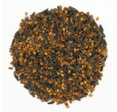 Zwischenfruchtmischung - TERRA GOLD 25 Allround