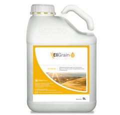 Eligrain-a - Biostimulans Schutzlösung gegen Trockenstress in Strohgetreide