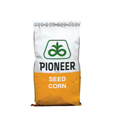 Maíz grano FAO 400 - P0312Y