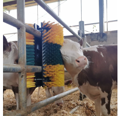 Brosse de grattage Multifix Pour montage mural ou sur poteau | PATURA