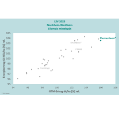 Saatmais - Clementeen (S270) DSV