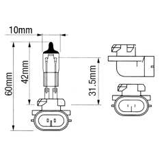 Leuchtmittel H885 12 V für Traktor CASE IH - FIAT - JOHN DEERE 139119A1 - 82004449 - 87778088 Nachbau