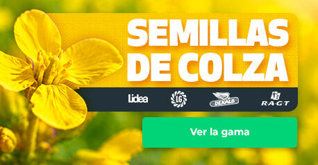 AGRYCO_SEEDS_COLZA_100826