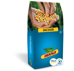 Saatmais - DKC3438 (S250 K240) DEKALB