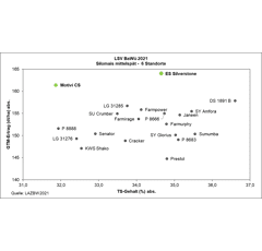 Saatmais - Motivi CS (S290 K280) LIDEA