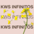 Colza hybride - KWS Infinitos