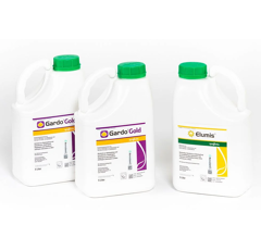 Elumis Gold Pack | Herbizid