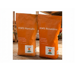 KWS POWER PACK (mittelfrüh)