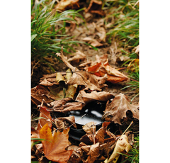 Piège à mâchoire de type français - BOXTRAP